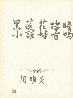 黑莲花攻略手册小说好看吗