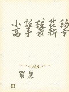 小说校花的贴身高手最新章节阅续