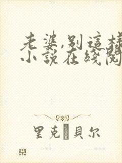 老婆,别这样 小说在线阅读