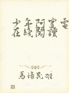 少年阿宾电子书在线阅读