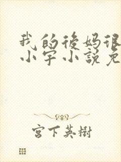 我的后妈很漂亮小宇小说免费阅读