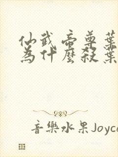 仙武帝尊叶星辰为什么杀叶辰