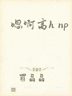 嗯啊高h np封面