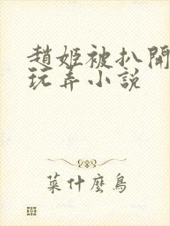 赵姬被扒开双腿玩弄小说封面