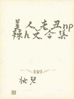 美人老丑np高辣h文合集