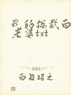 我的总裁白富美老婆txt