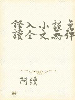 锋入小说免费阅读全文无弹窗
