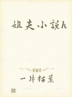 姐夫小说h