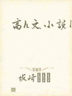 高h文小说网