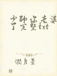 少帅你老婆又跑了完整txt
