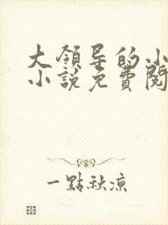 大领导的小妻子小说免费阅读