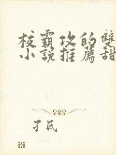 校霸攻的双男主小说推荐甜文