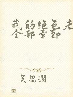 我的绝色老板娘全部章节封面