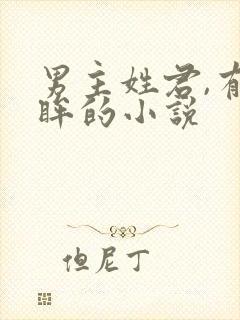 男主姓君,有紫眸的小说封面