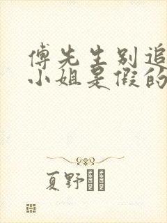 傅先生别追了大小姐是假的全集下载封面