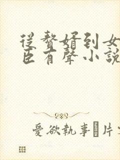 从赘婿到女帝宠臣有声小说完整