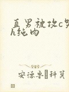 直男被攻c哭高h纯肉封面