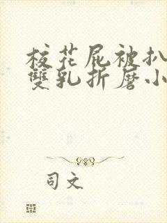 校花屁被扒电击双乳折磨小说小说封面