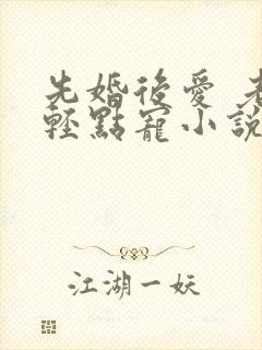 先婚后爱 老公轻点宠小说