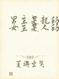 男主是龙的小说女主是人的
