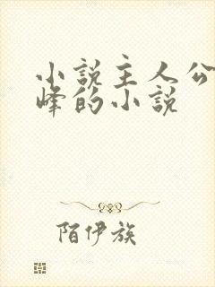 小说主人公叫林峰的小说