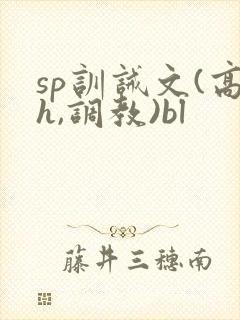 sp训诫文(高h,调教)bl