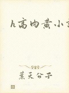 h高肉黄小说