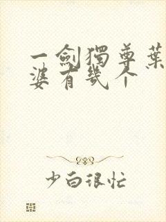 一剑独尊叶玄老婆有几个