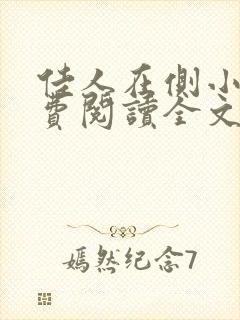 佳人在侧小说免费阅读全文无弹窗