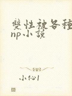 双性被各种淫玩np小说封面