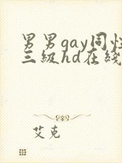 男男gay同性三级hd在线