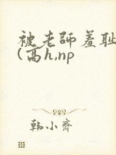 被老师羞耻调教(高h,np