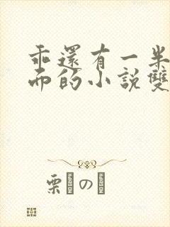 乖还有一半在外面的小说双男 主