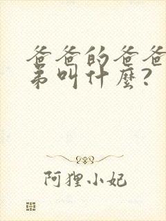 爸爸的爸爸的弟弟叫什么?封面