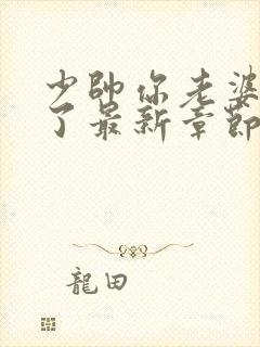 少帅你老婆又跑了最新章节列表封面