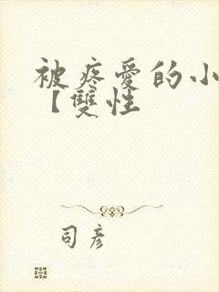 被疼爱的小美人【双性封面