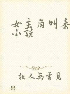 女主角叫秦佳的小说