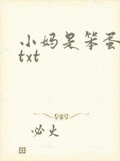 小妈是笨蛋美人txt