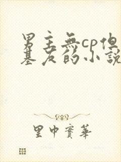 男主无cp但有基友的小说