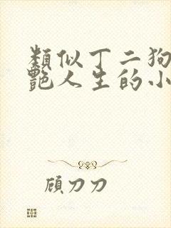 类似丁二狗的猎艳人生的小说