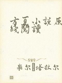 方夏小说原著在线阅读封面