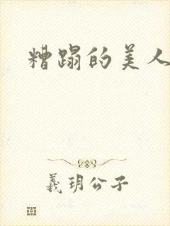 糟蹋的美人h封面