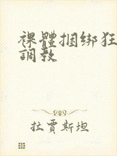 裸体捆绑狂虐性调教