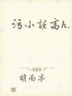 污小说高h.