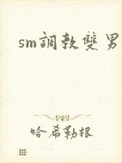 sm调教双男主