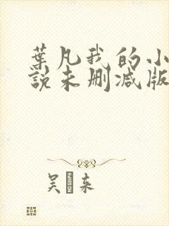 叶凡我的小姨小说未删减版