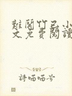 难哄竹已小说全文免费阅读无弹窗封面