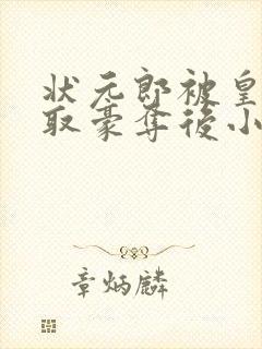 状元郎被皇上强取豪夺后小说阅读