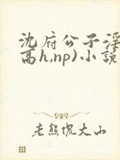 沈府公子淫史(高h,np)小说