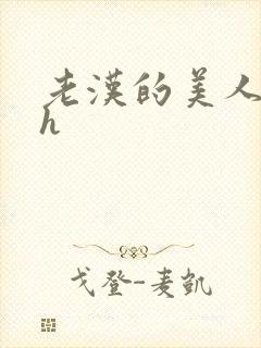 老汉的美人双性h